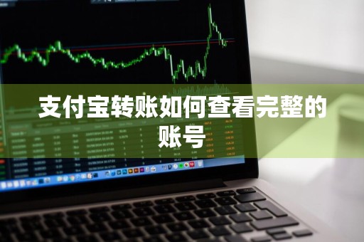 支付宝转账如何查看完整的账号