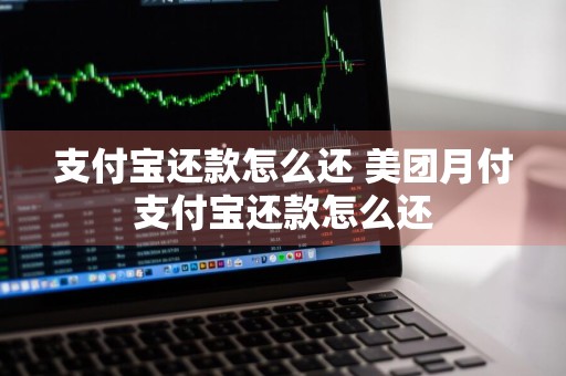 支付宝还款怎么还 美团月付支付宝还款怎么还