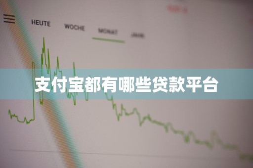 支付宝都有哪些贷款平台