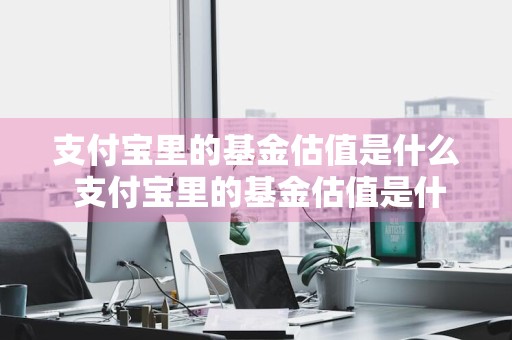 支付宝里的基金估值是什么 支付宝里的基金估值是什么意思