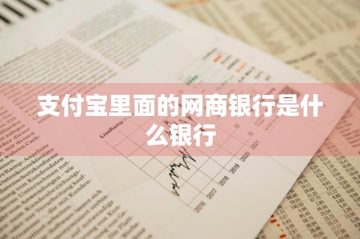支付宝里面的网商银行是什么银行