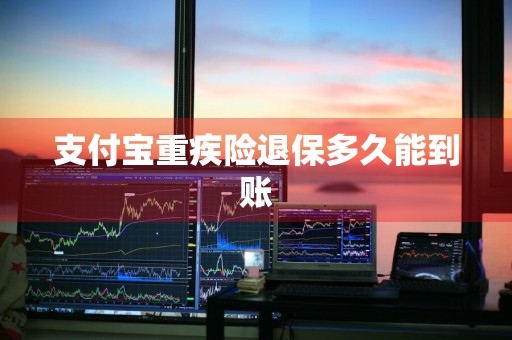 支付宝重疾险退保多久能到账