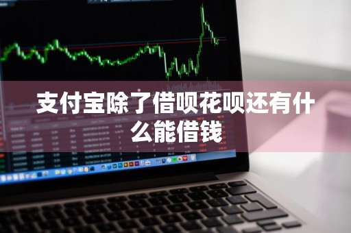 支付宝除了借呗花呗还有什么能借钱