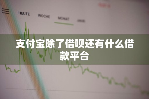 支付宝除了借呗还有什么借款平台