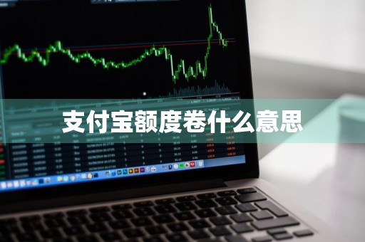 支付宝额度卷什么意思