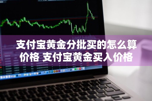 支付宝黄金分批买的怎么算价格 支付宝黄金买入价格怎么算