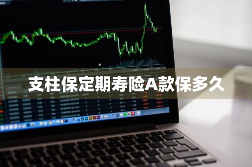 支柱保定期寿险A款保多久