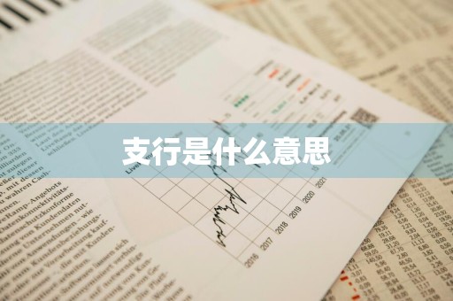 支行是什么意思