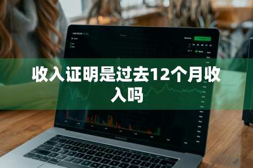 收入证明是过去12个月收入吗