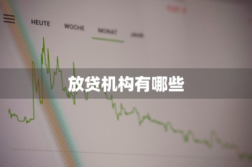 放贷机构有哪些