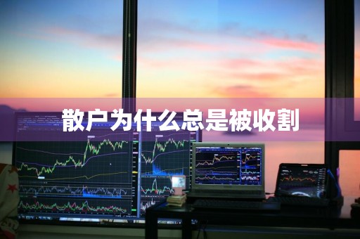 散户为什么总是被收割