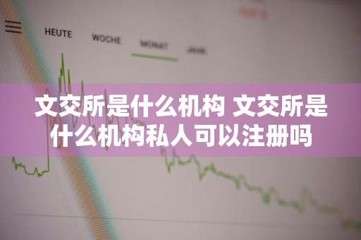 文交所是什么机构 文交所是什么机构私人可以注册吗