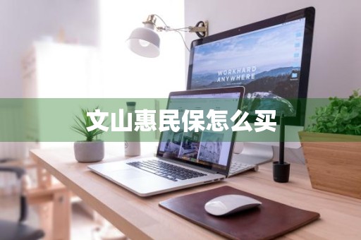 文山惠民保怎么买