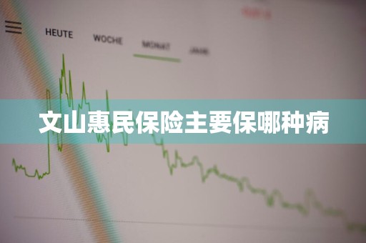 文山惠民保险主要保哪种病