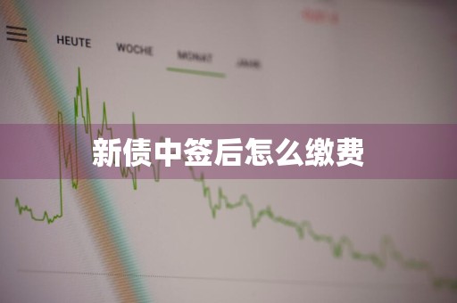 新债中签后怎么缴费