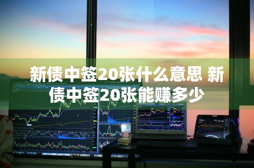 新债中签20张什么意思 新债中签20张能赚多少