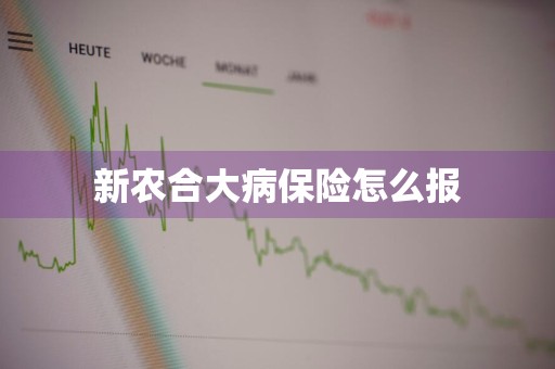 新农合大病保险怎么报