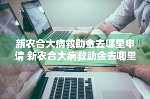 新农合大病救助金去哪里申请 新农合大病救助金去哪里申请多少钱
