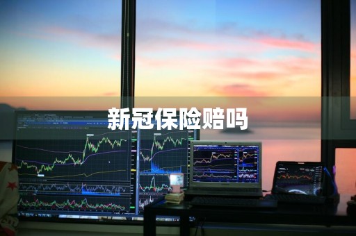 新冠保险赔吗