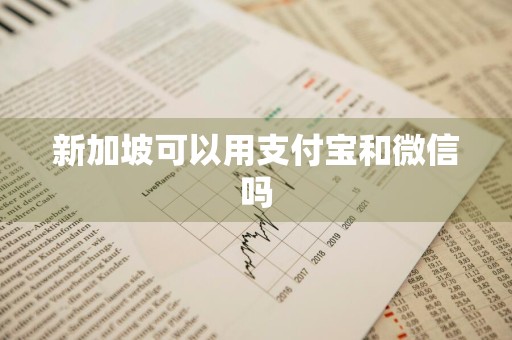 新加坡可以用支付宝和微信吗