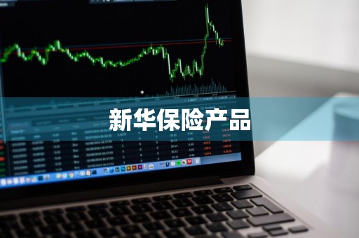 新华保险产品