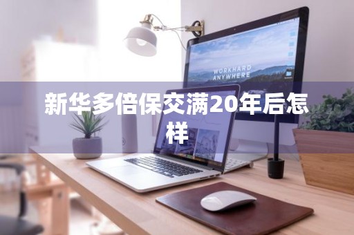新华多倍保交满20年后怎样