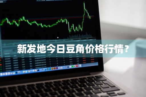 新发地今日豆角价格行情？