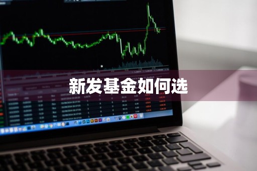 新发基金如何选