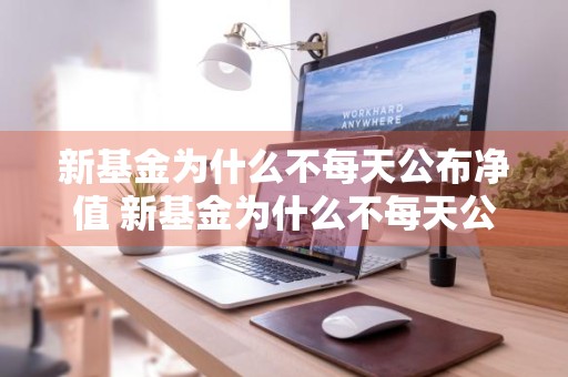 新基金为什么不每天公布净值 新基金为什么不每天公布净值呢