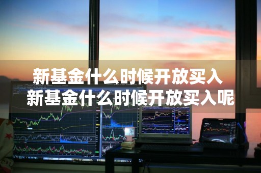 新基金什么时候开放买入 新基金什么时候开放买入呢