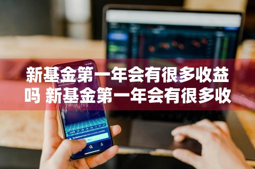 新基金第一年会有很多收益吗 新基金第一年会有很多收益吗知乎