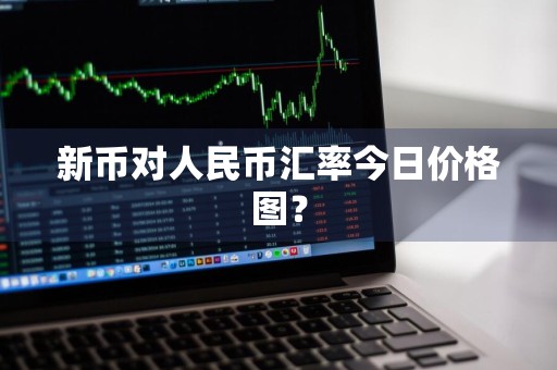 新币对人民币汇率今日价格图？