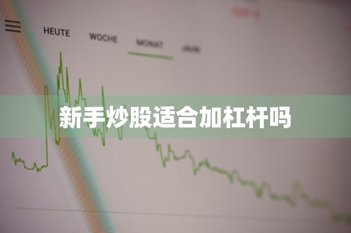 新手炒股适合加杠杆吗