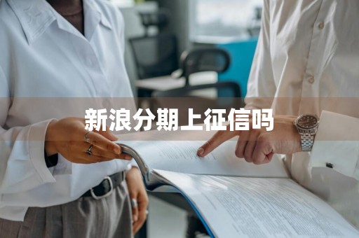 新浪分期上征信吗
