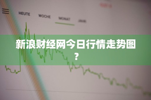 新浪财经网今日行情走势图？