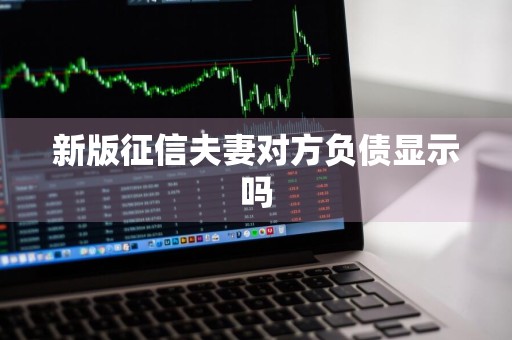 新版征信夫妻对方负债显示吗