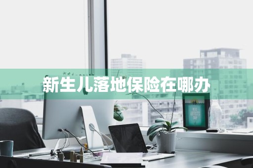 新生儿落地保险在哪办