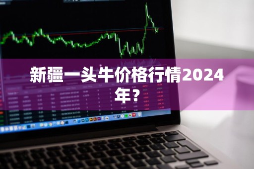 新疆一头牛价格行情2024年？