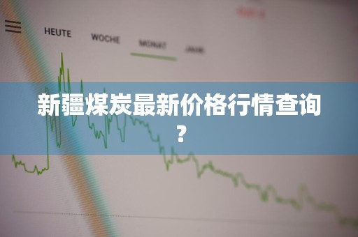 新疆煤炭最新价格行情查询？