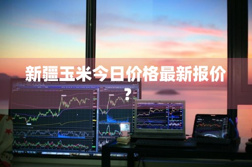 新疆玉米今日价格最新报价？