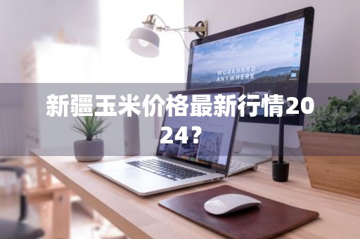 新疆玉米价格最新行情2024？
