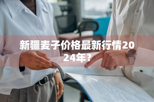 新疆麦子价格最新行情2024年？