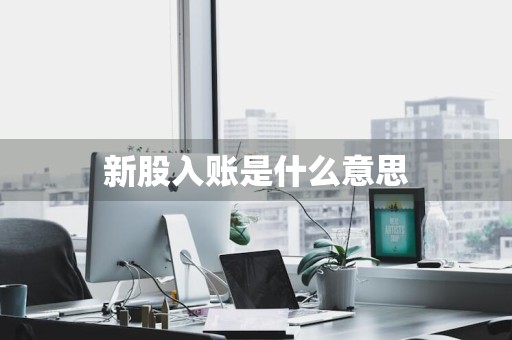 新股入账是什么意思