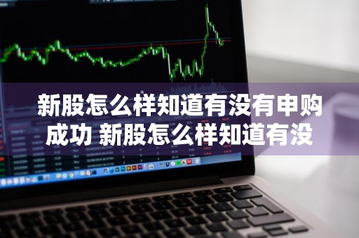 新股怎么样知道有没有申购成功 新股怎么样知道有没有申购成功呢