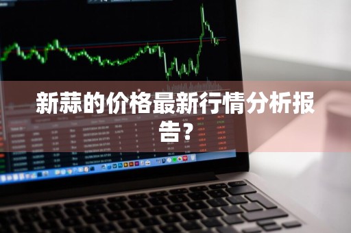 新蒜的价格最新行情分析报告？