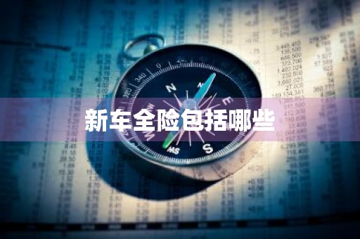 新车全险包括哪些