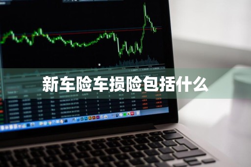新车险车损险包括什么