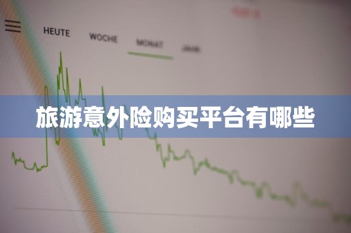 旅游意外险购买平台有哪些
