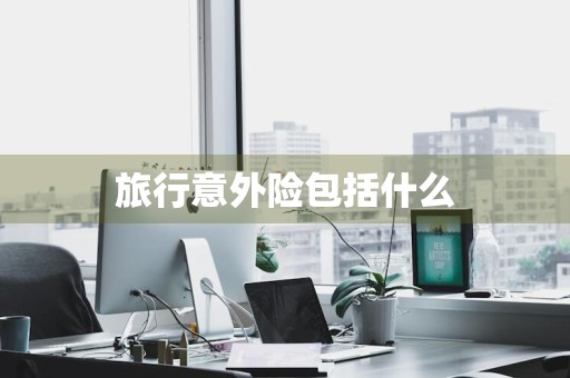 旅行意外险包括什么