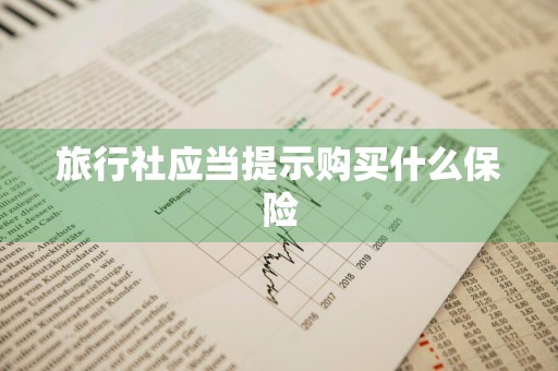 旅行社应当提示购买什么保险
